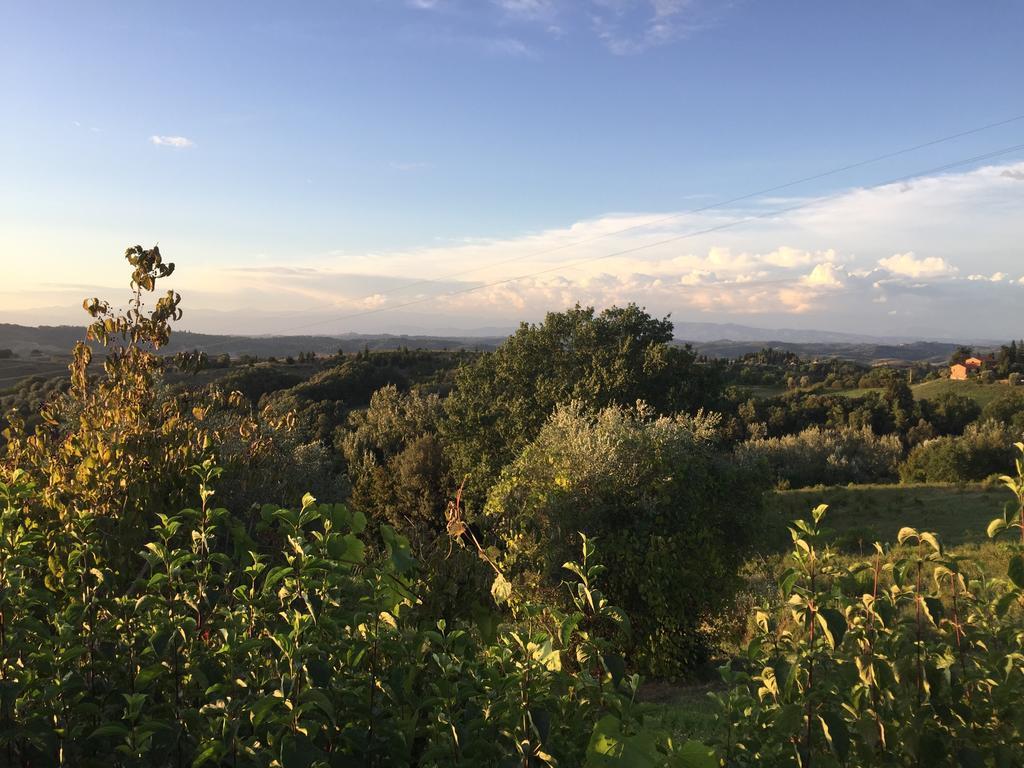 Da Tilli Alla Fornace - Agriturismo Montaione Eksteriør billede